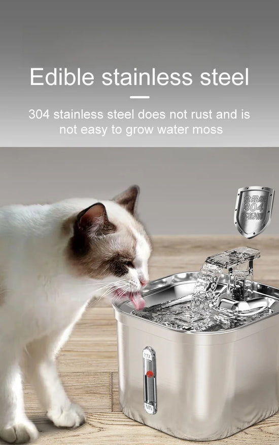 Pet water dispenser square stainless automatic circulation filtration intelligent sensor water cat drinker C002 European plugs